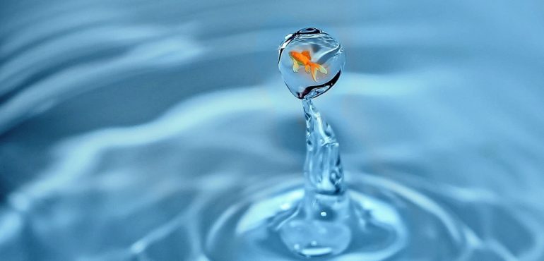 perche-uscire-dalla-zona-di-comfort-ci-fa-bene-comunicazione-emotiva