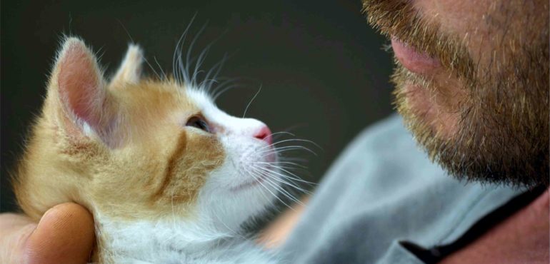 comunicazione emotiva la tenerezza la forma pura dell'amore